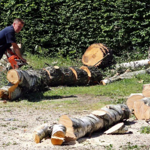3-те най-добри марки за резачки за дърва в света